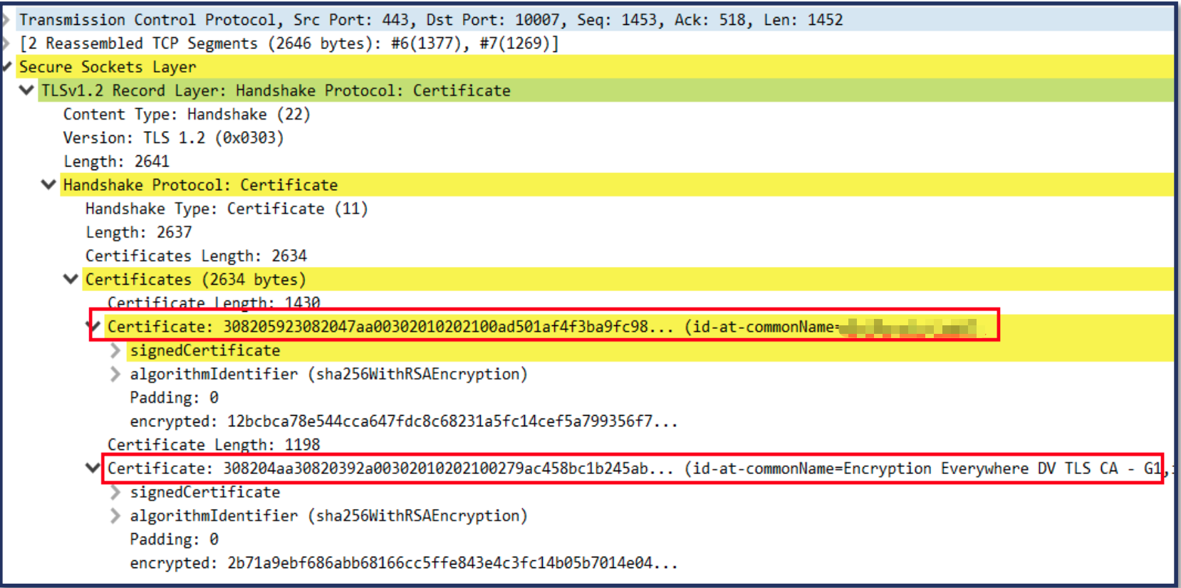 image-20240319214154415