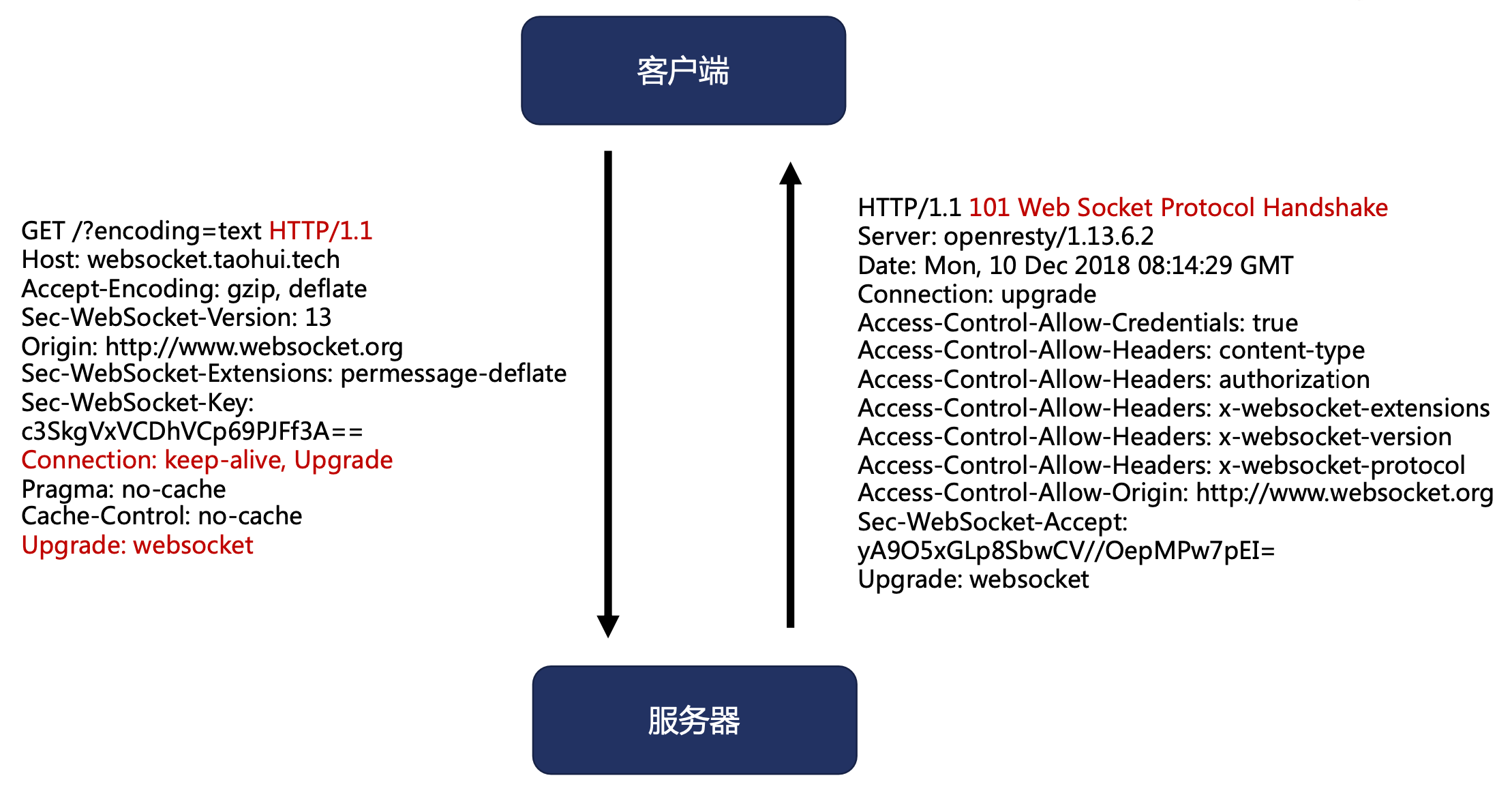 image-20240324165834631