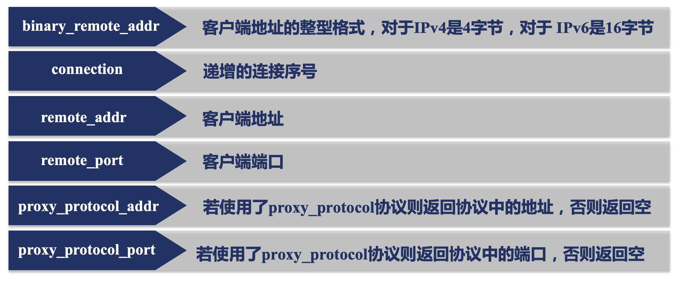 image-20240325005440455