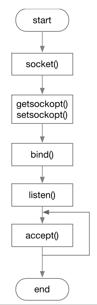 image-20240401210835940