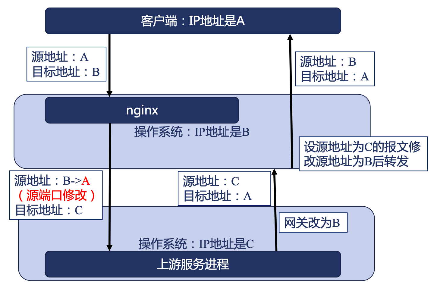 image-20240325115006285